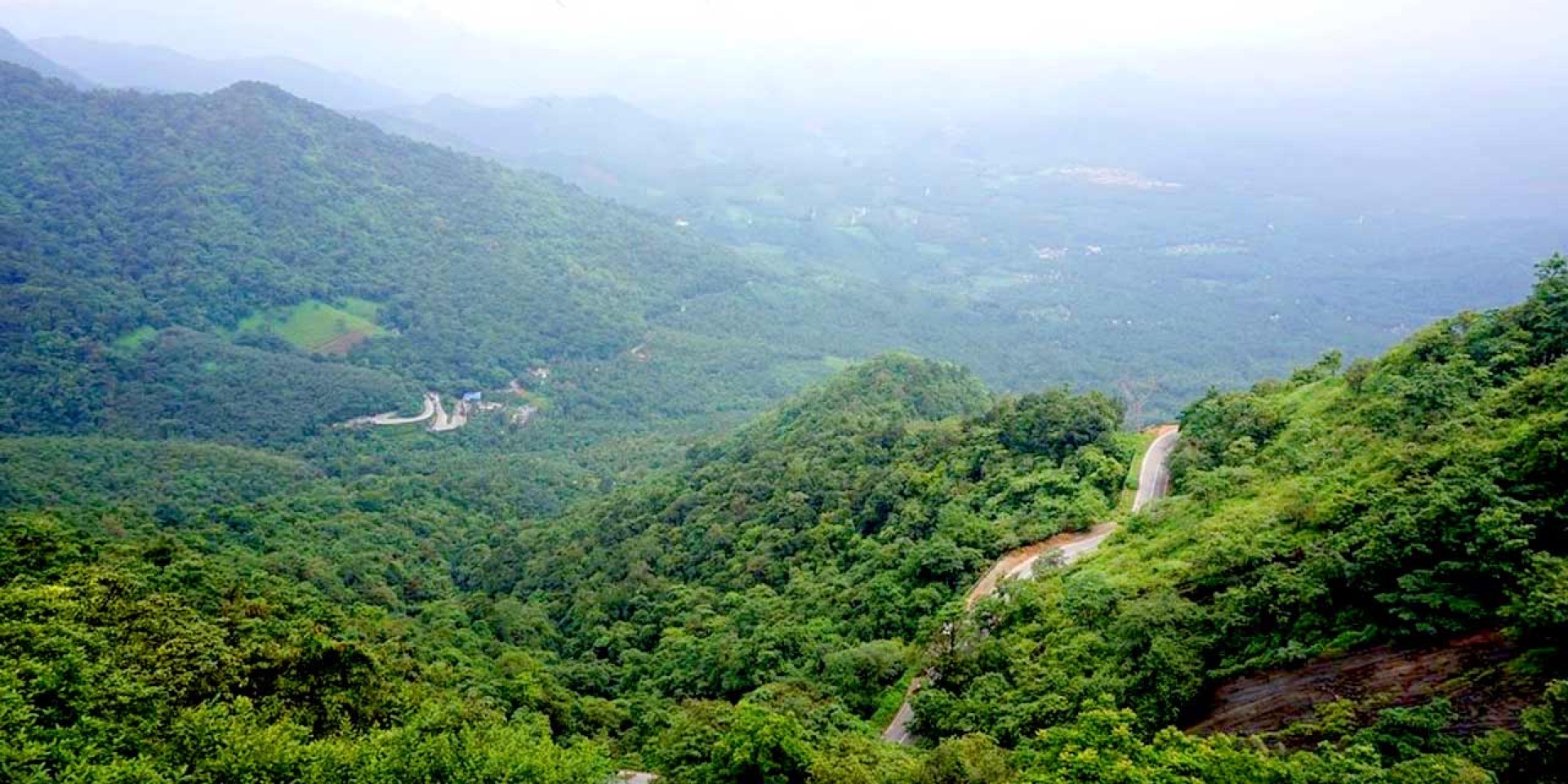 Scenic mountain road route from Kannur or Kozhikode